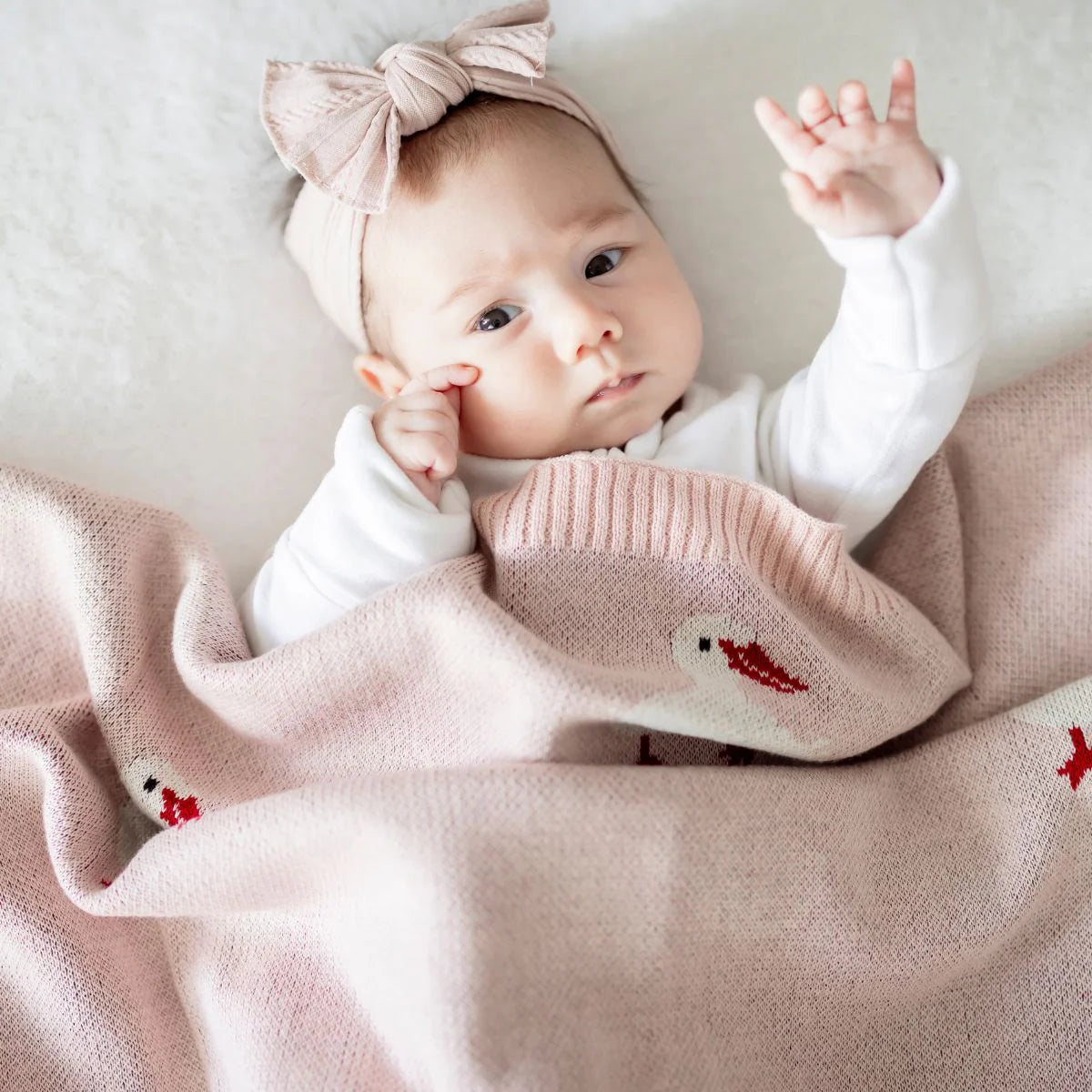 Little Quacks Baby Blanket image 0
