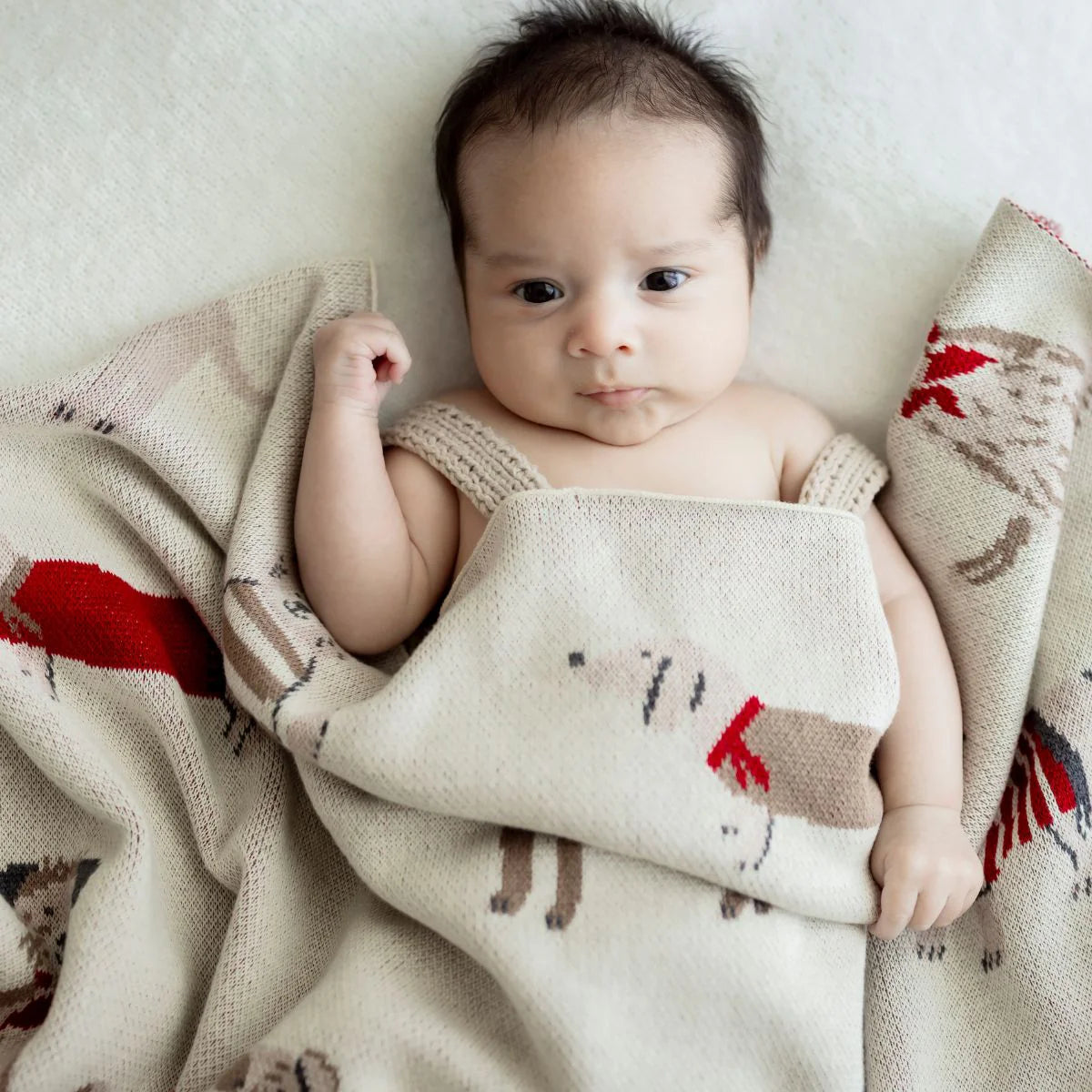 Puppy Snuggles Baby Blanket image 0
